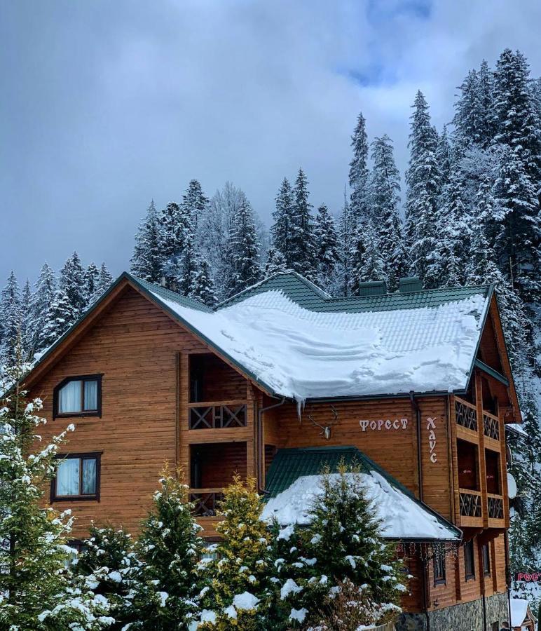 Forest House
