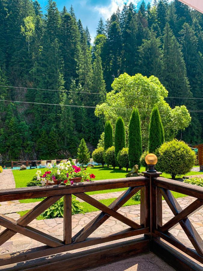 Hotel Forest House Tatariv