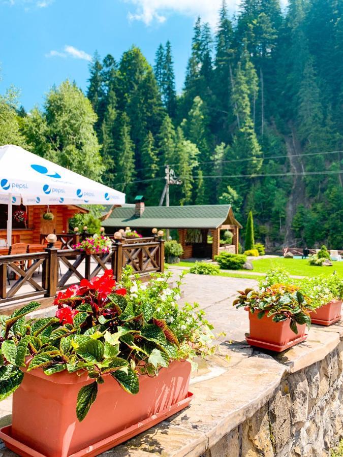 Forest House 2* Tatariv